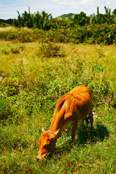 Similar image 5568645