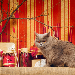 Similar image 5568650