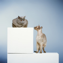 Similar image 5568659