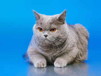 Similar image 5568673