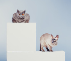 Similar image 5568674