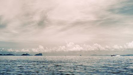 Similar image 5568691