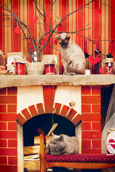 Similar image 5568709