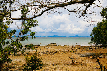 Similar image 5568733