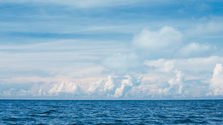 Similar image 5568737