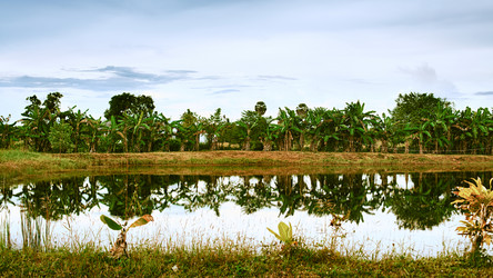 Similar image 5568748