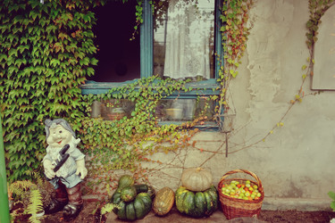 Similar image 5568752