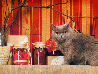 Similar image 5568770