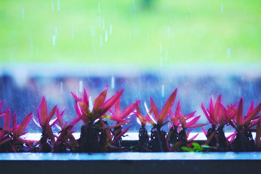 Similar image 5568773