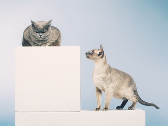 Similar image 5568779