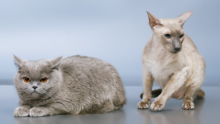 Similar image 5568785