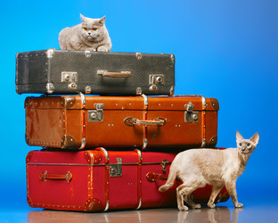 Similar image 5568837