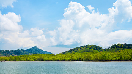 Similar image 5568838