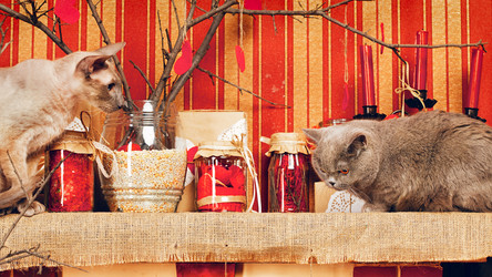 Similar image 5568849