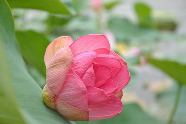 Similar image 5568961