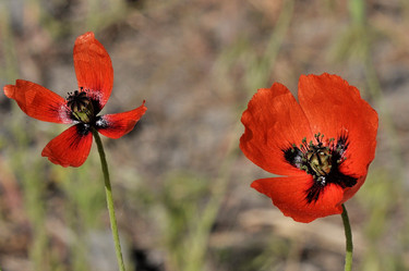 Similar image 5568963