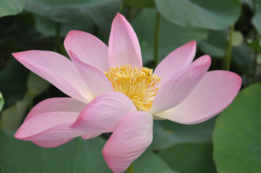 Similar image 5568964