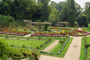 Similar image 5569417