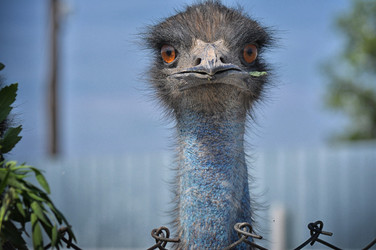 Similar image 5569602