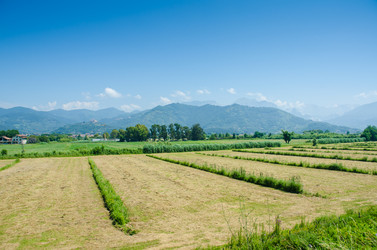 Similar image 5570047