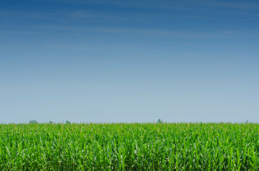 Similar image 5570053