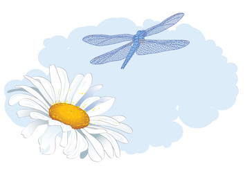 Similar image 5570171