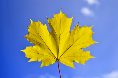 Similar image 5570182