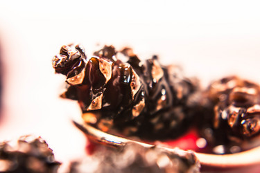 Similar image 5570238