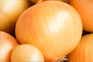 Similar image 5570320