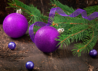 Similar image 5570634