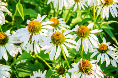 Similar image 5570829