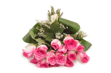 Similar image 5570972