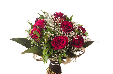 Similar image 5570977