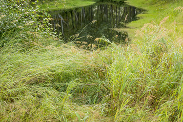 Similar image 5570981