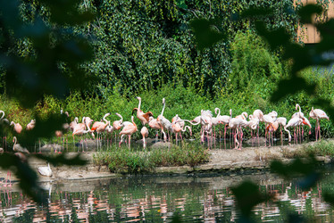 Similar image 5571003