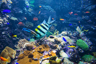 Similar image 5571051