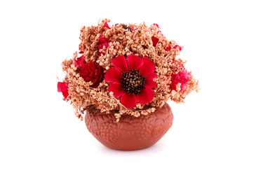 Similar image 5571867