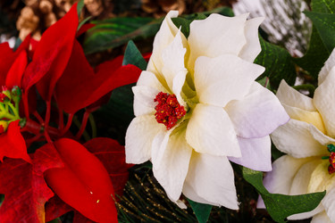 Similar image 5571870