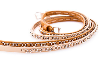 Similar image 5571871