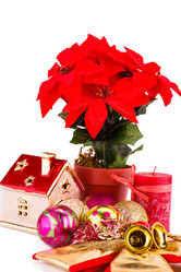 Similar image 5571882