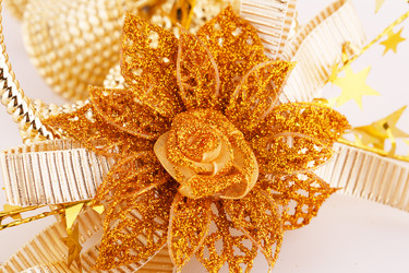 Similar image 5571887