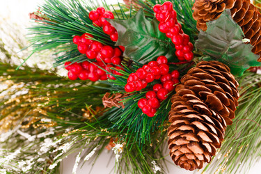 Similar image 5571889