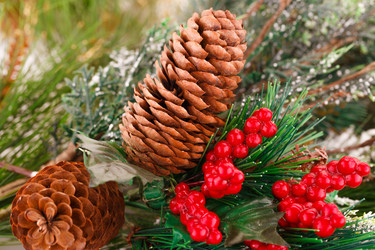 Similar image 5571890