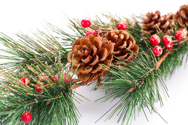 Similar image 5571896