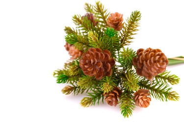 Similar image 5571901