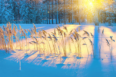 Similar image 5572488