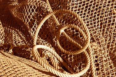 Similar image 5572529