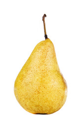 Similar image 5572584