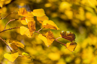 Similar image 5572679