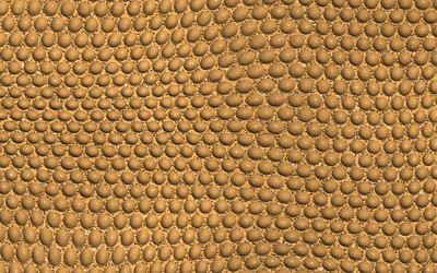 Similar image 5572706